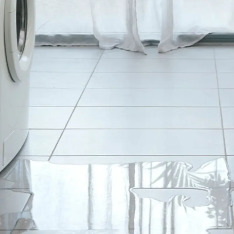 Appliance Leak Cleanup in Freeland, MI