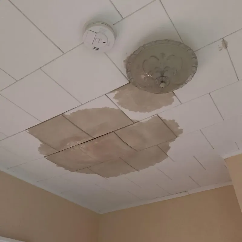 Ceiling Water Damage Repair in Freeland, MI