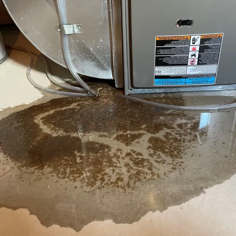 Pipe Burst and Leak Restoration in Freeland, MI