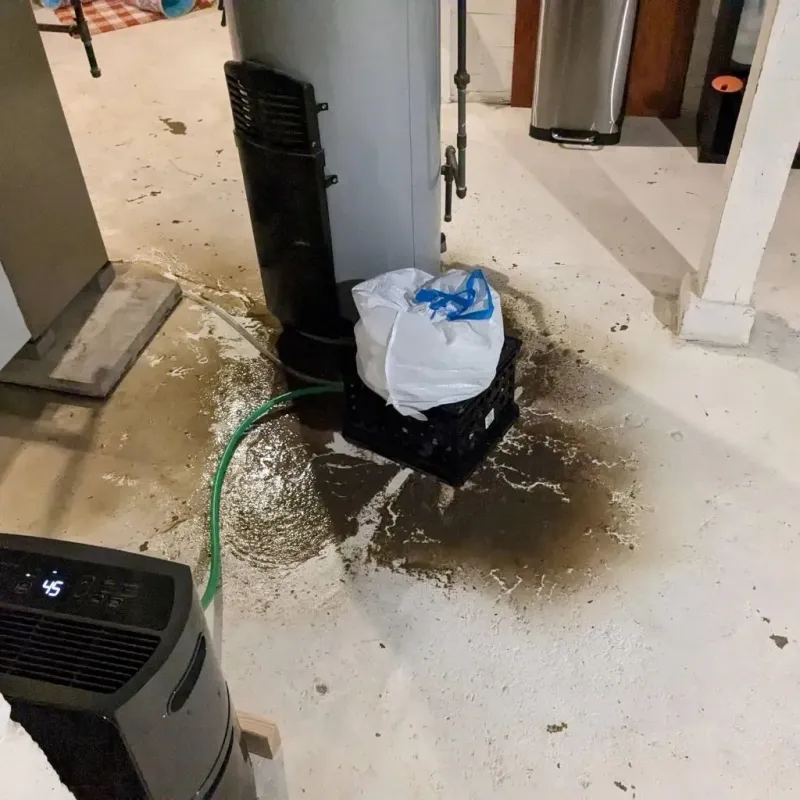Sewage Backup Cleanup Service in Freeland, MI
